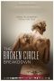 The Broken Circle Breakdown (2012)