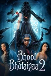 Bhool Bhulaiyaa 2 (2022)