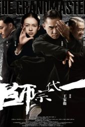 The Grandmaster (2013)