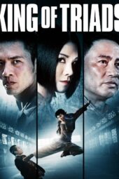 Bad Blood: King of Triads (2010)