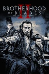 Brotherhood of Blades 2: The Infernal Battlefield (2017)